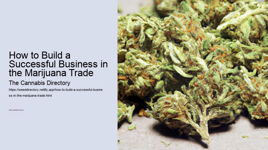 How to Build a Successful Business in the Marijuana Trade 