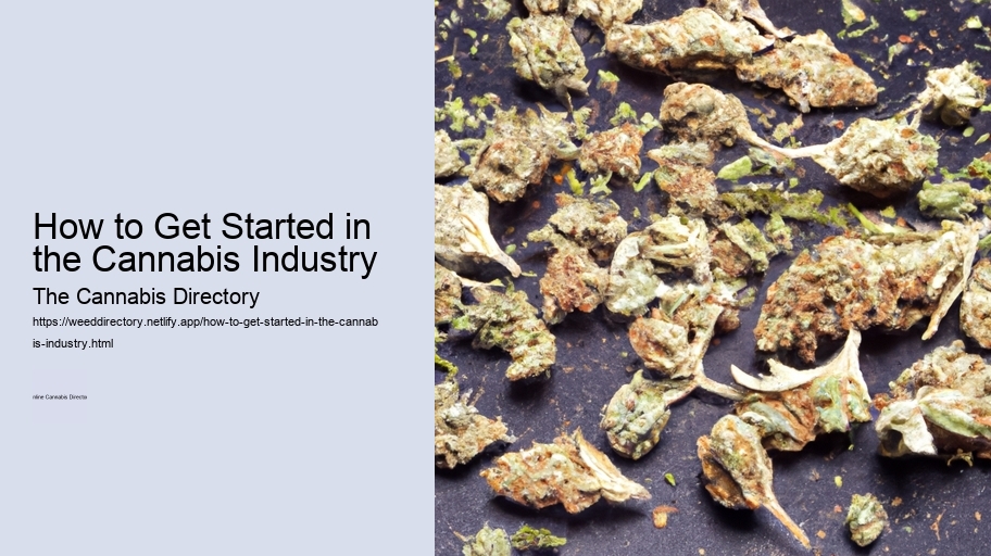 How to Get Started in the Cannabis Industry 