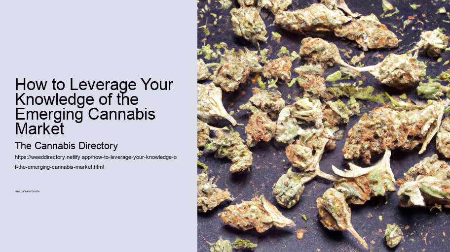 How to Leverage Your Knowledge of the Emerging Cannabis Market 