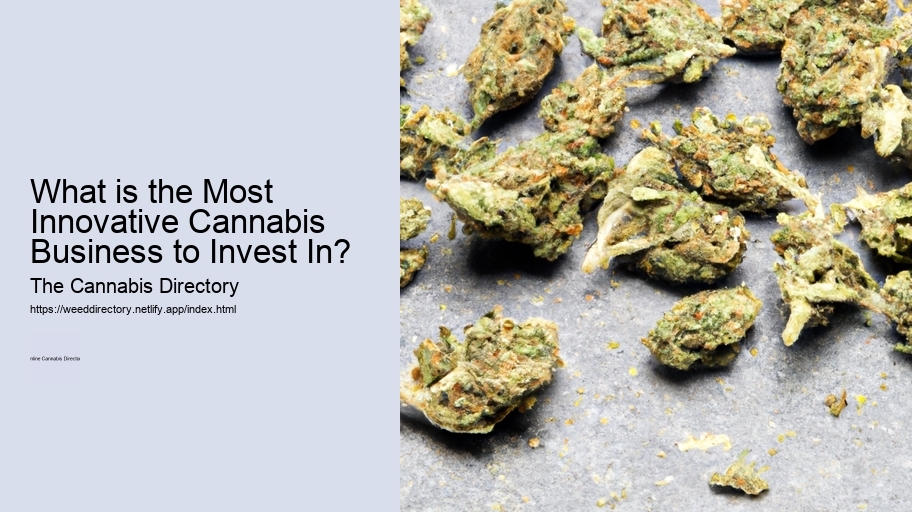 What is the Most Innovative Cannabis Business to Invest In? 