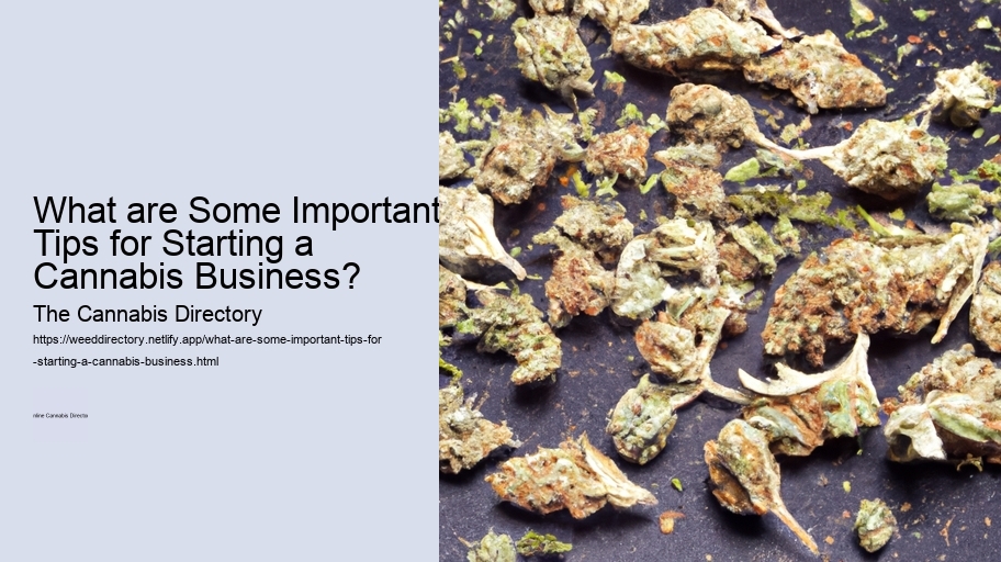 What are Some Important Tips for Starting a Cannabis Business? 