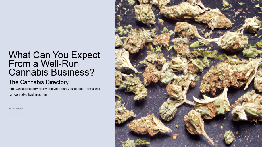 What Can You Expect From a Well-Run Cannabis Business? 