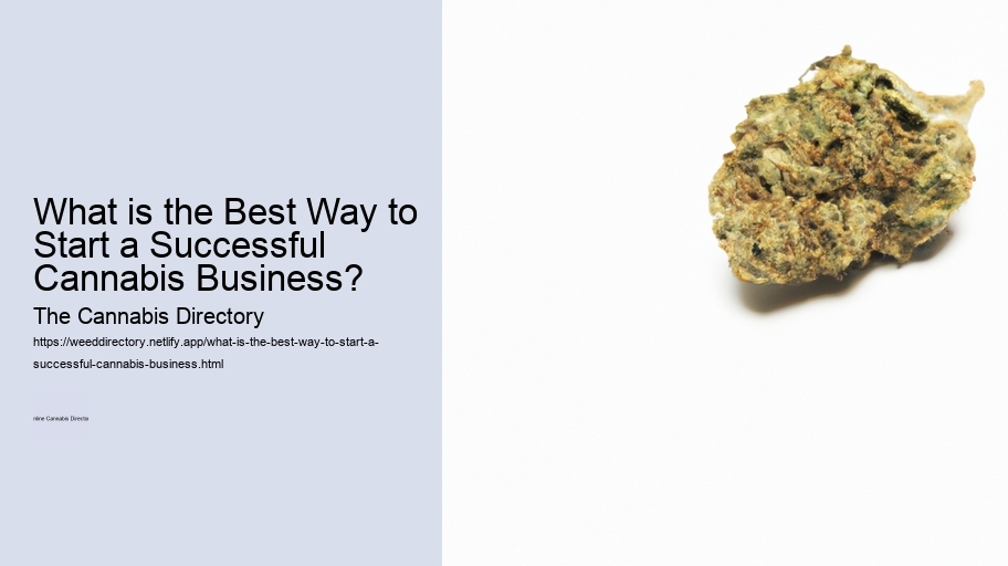 What is the Best Way to Start a Successful Cannabis Business? 