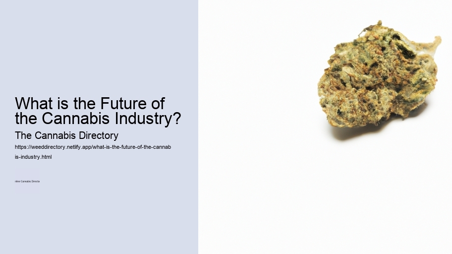 What is the Future of the Cannabis Industry? 